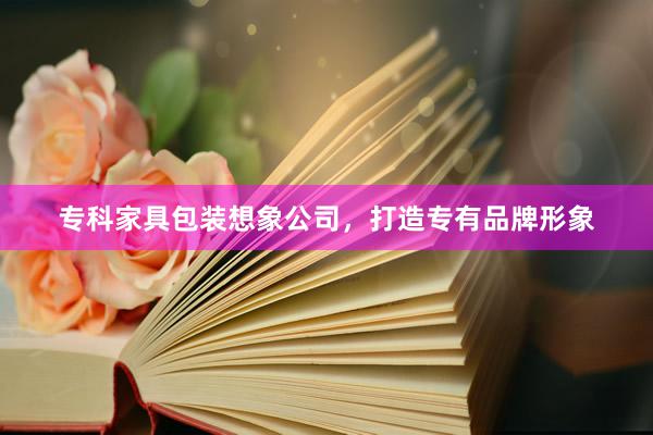 专科家具包装想象公司，打造专有品牌形象